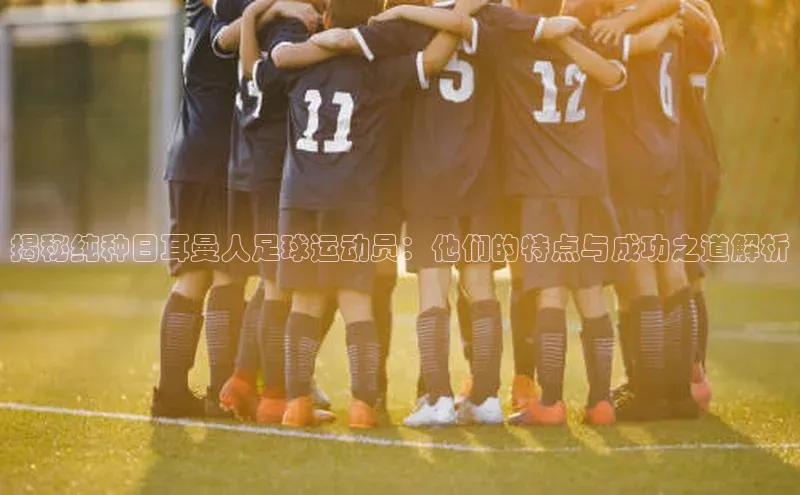 28圈.ccmpc百度手机助手