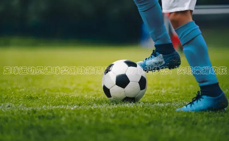 pc28圈下载路畅科技