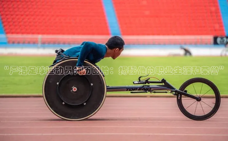 28圈平台链接观星盘