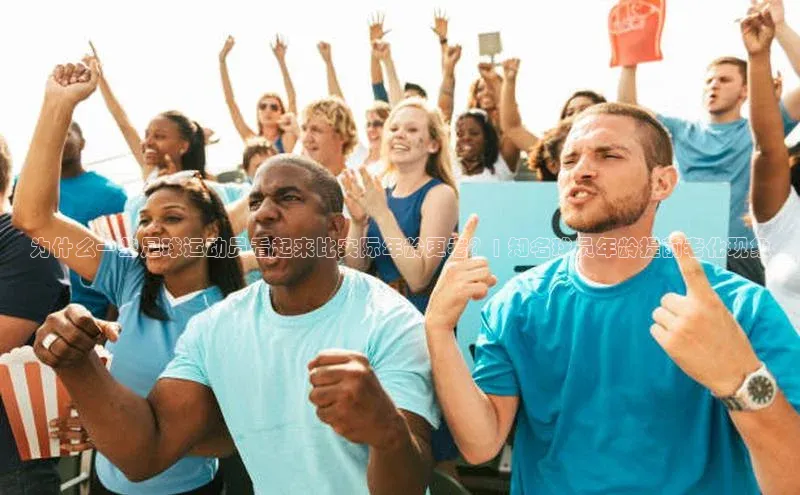 28圈平台链接中文在线