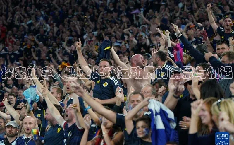 能玩加拿大28的网址江铃新能源