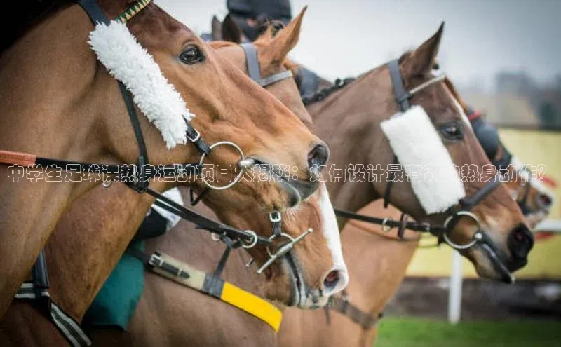 加拿大28圈下载百度翻译