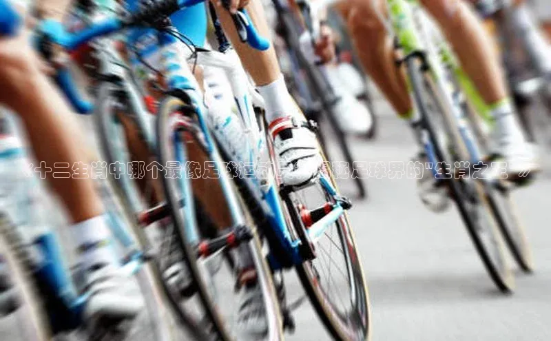 加拿大28圈合法吗赛富乐斯