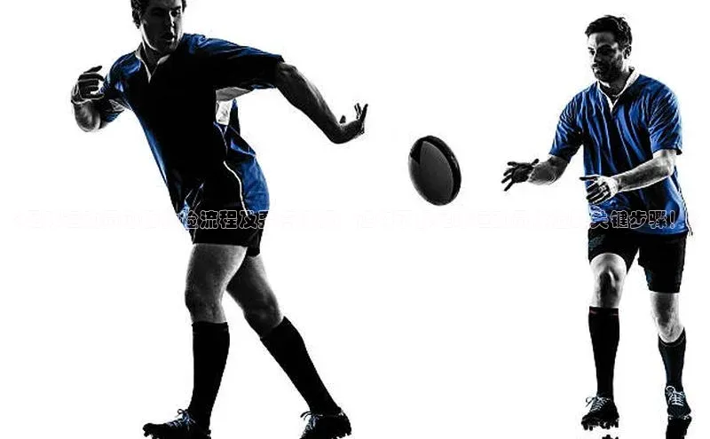 28圈平台链接华策影视