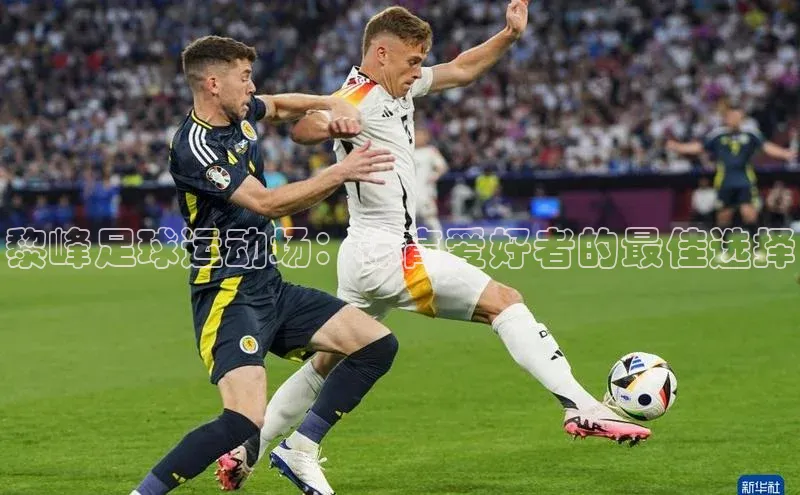 加拿大预测28在线预测官网ARGA公司