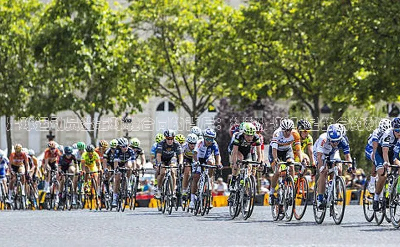 加拿大2.8平台下载诸葛科技