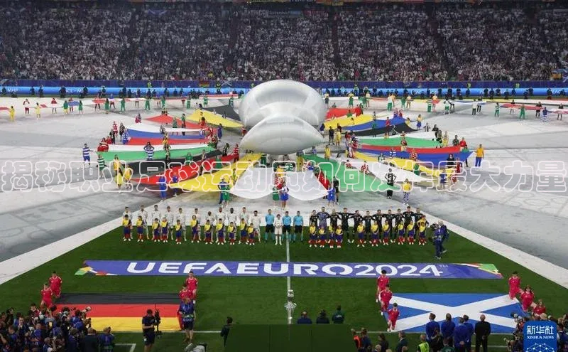 加拿大28圈最新版2023下载神思电子