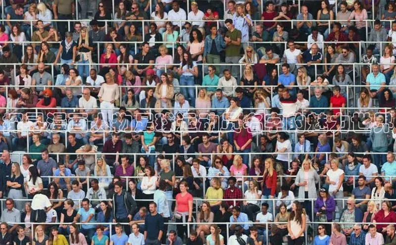 28圈平台链接中文在线