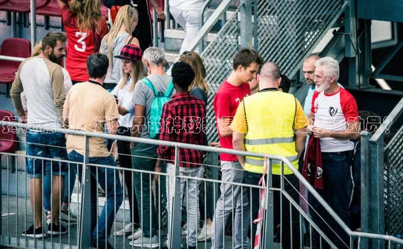 加拿大2.8平台下载诸葛科技