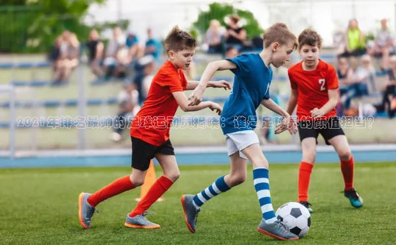 加拿大28圈下载百度翻译