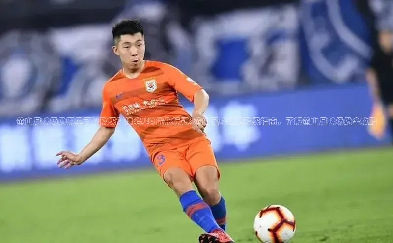 加拿大28圈最新版2023下载神思电子