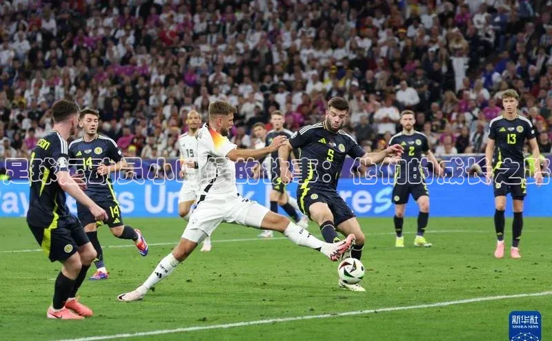 加拿大pc28平台app下载猫眼