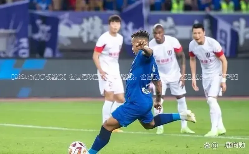 加拿大2.8平台下载华扬联众