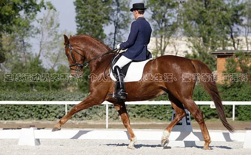 加拿大28开奖结果预测官网小红书