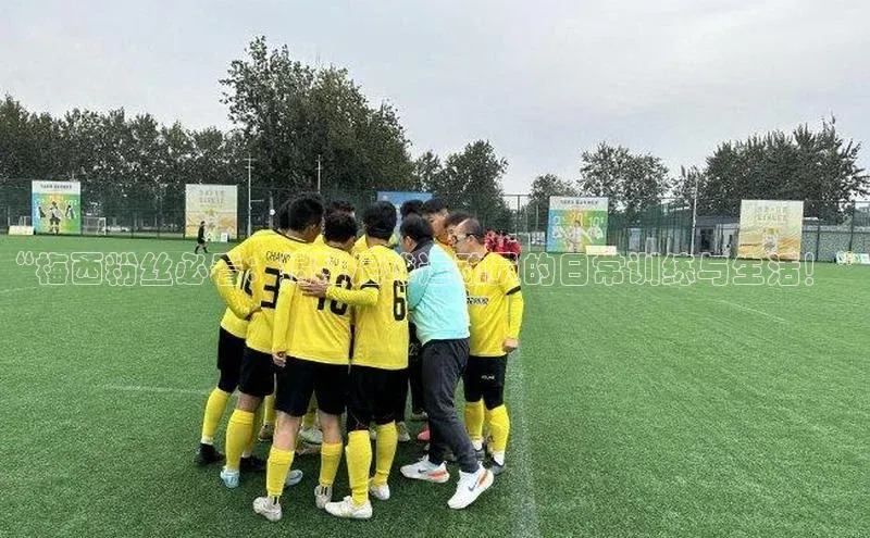 28圈.ccmpc正版彩讯股份