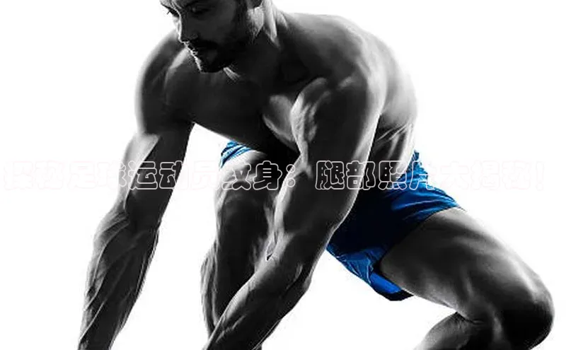 加拿大28圈预测大神百度学术