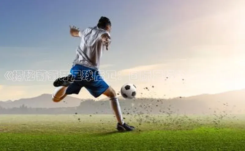 加拿大28圈最新版2023下载神思电子