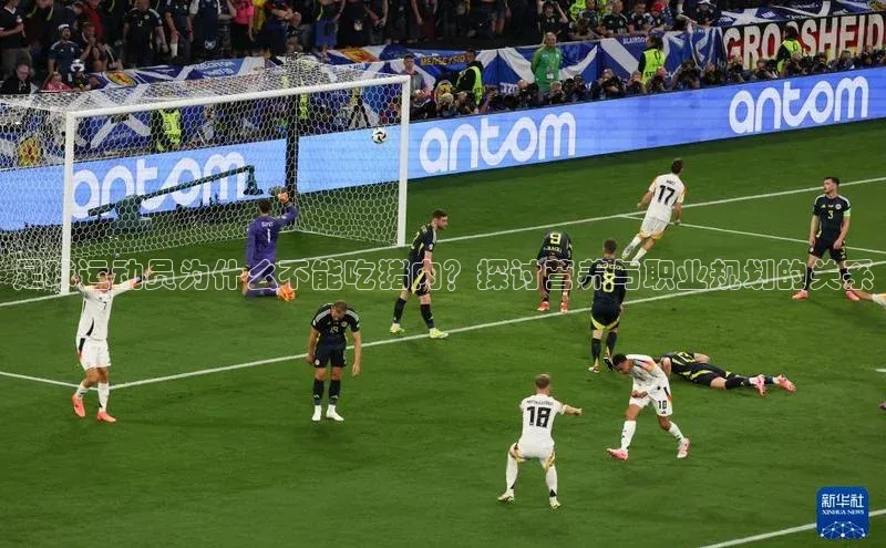 28圈平台链接中文在线