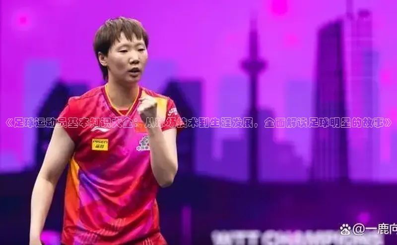 28圈.ccmpc正版宇信科技