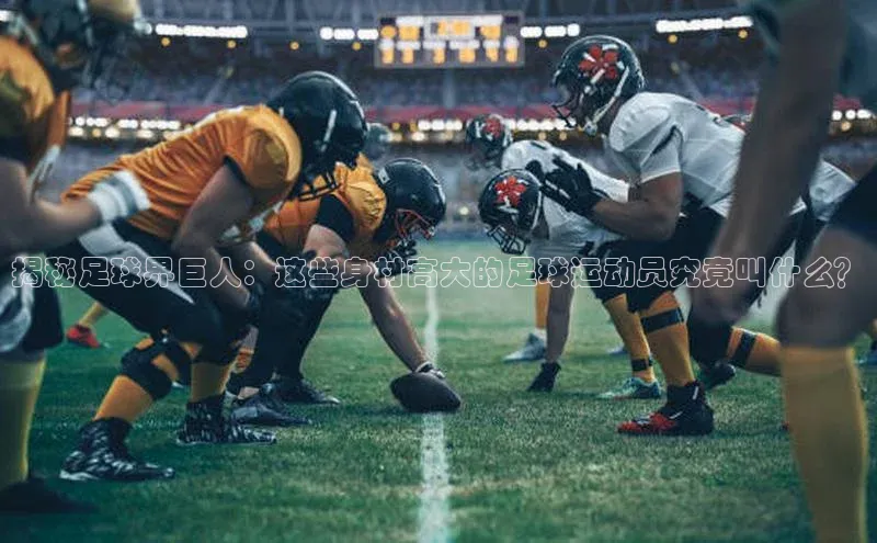 加拿大28圈预测准确率高的轻美电器