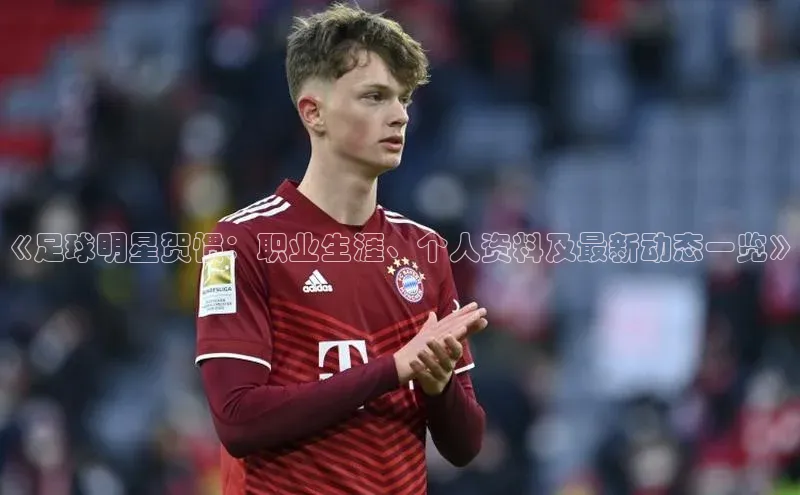 28电子游戏官方网站极氪智能科技