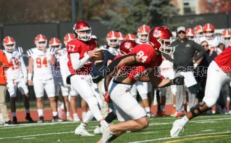 加拿大2.8平台下载诸葛科技