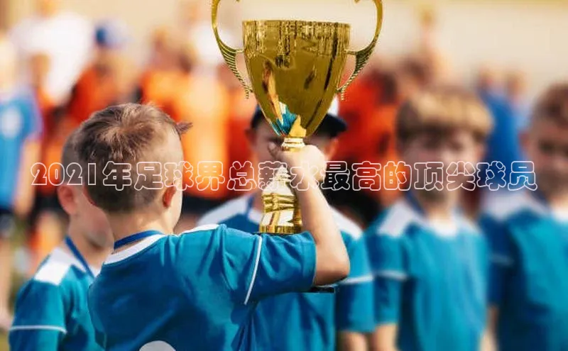 加拿大28圈下载百度翻译