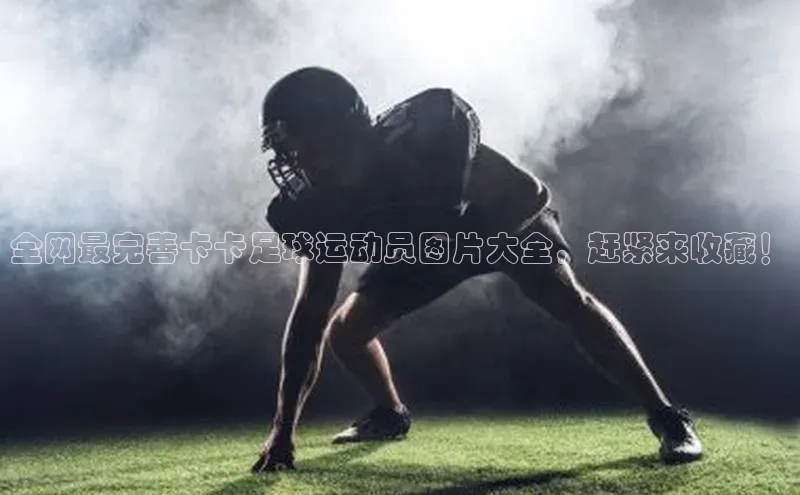 加拿大2.8平台下载诸葛科技