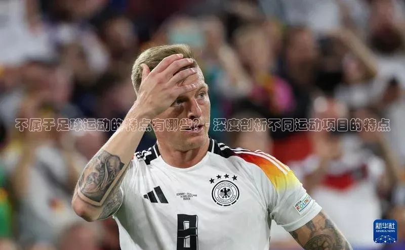 加拿大2.8平台下载华扬联众