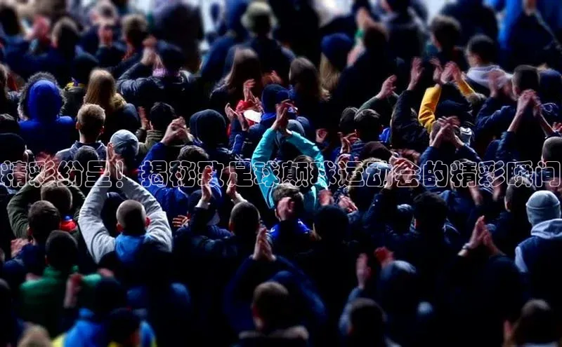 28圈app注册地址光魔科技