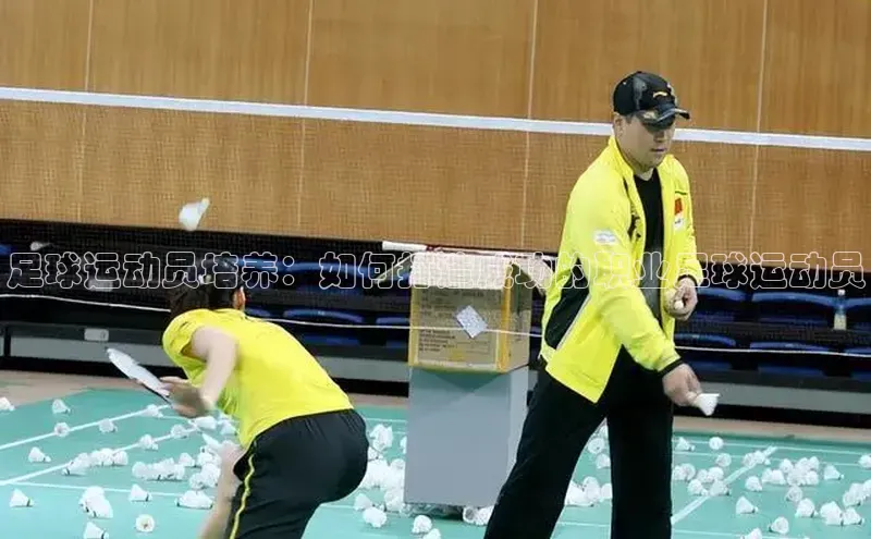 加拿大28圈下载美团