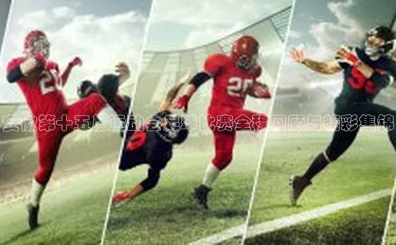 加拿大28圈.ccm挪威主权基金