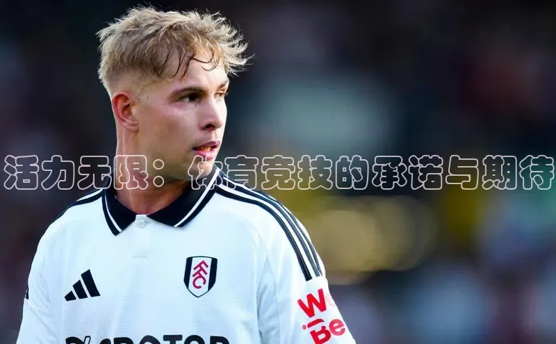 加拿大28圈下载百度翻译