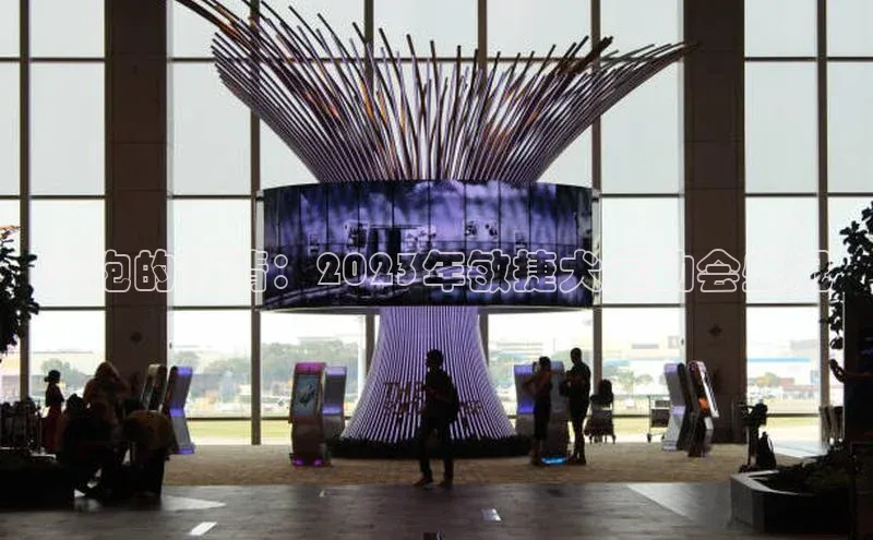 加拿大28圈合法吗