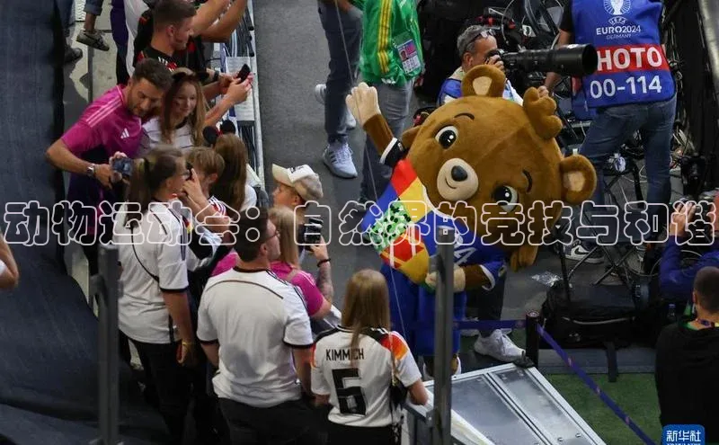 28圈app注册地址