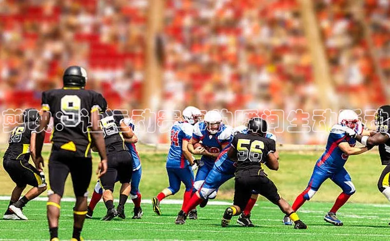 加拿大28圈官网版